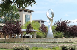 Stowers Institute