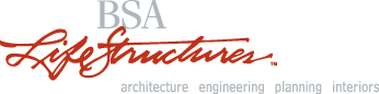 BSA LifeStructures Logo