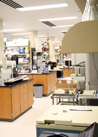 Picture of a lab space in the Research III building
